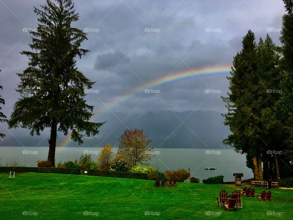 Rainbow, Lake Quinault, Olympic Peninsula, Rain Forest