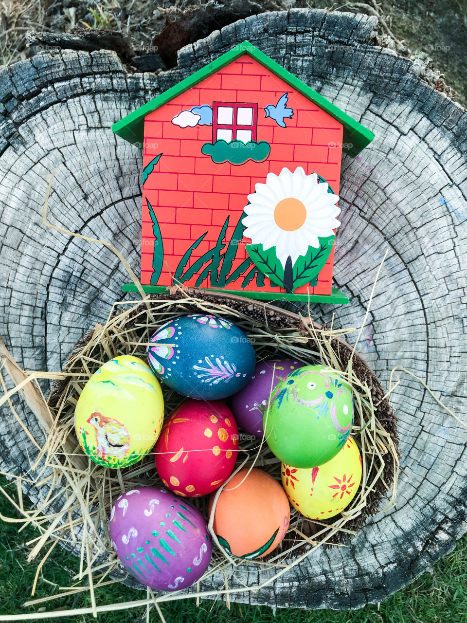 Colorful Easter egg with green grass background 