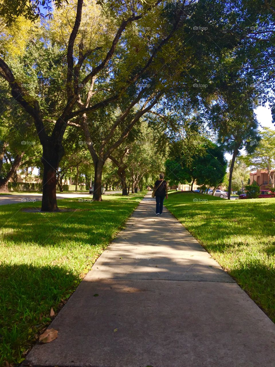 My point of view of  very long path