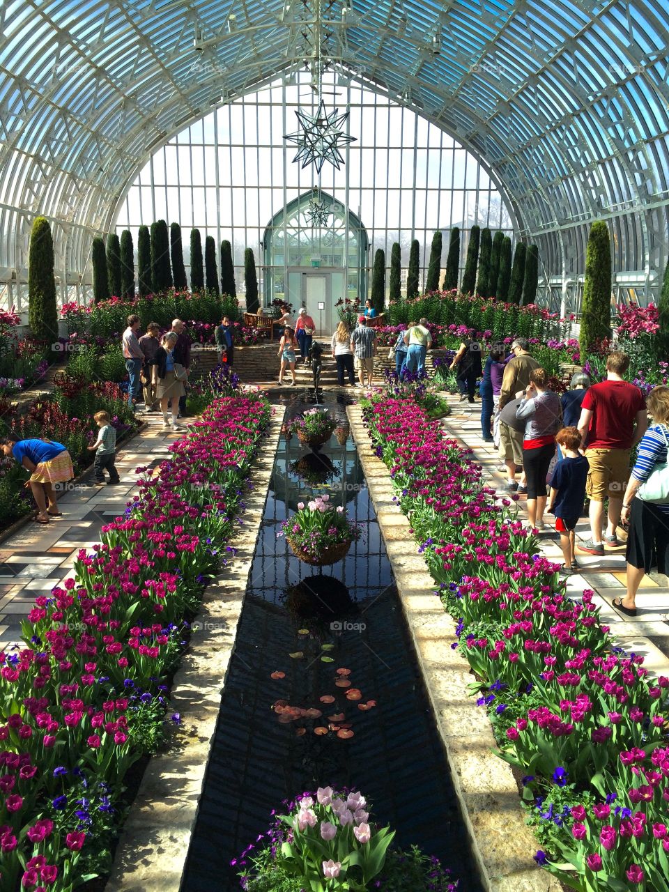 Como Conservatory. Spring Flowers