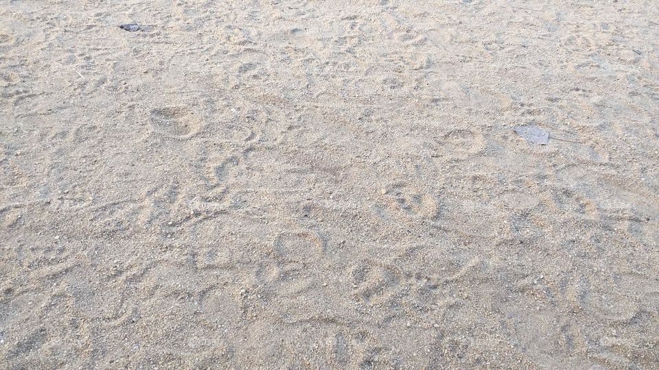 Foot prints on the beach