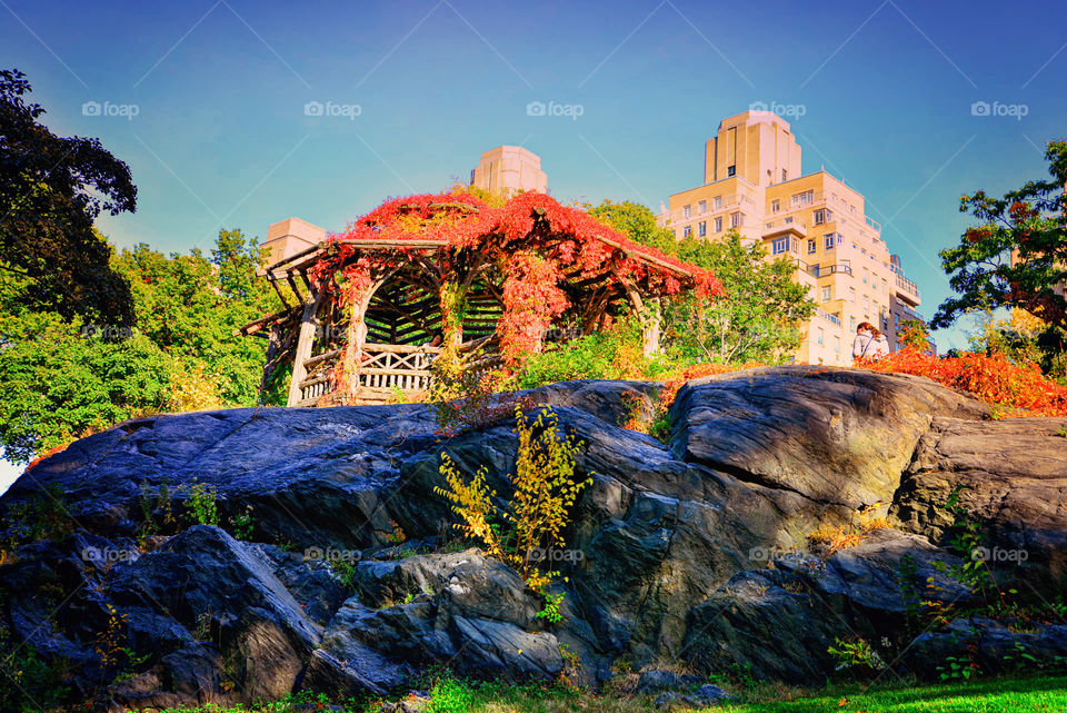 central park. NYC