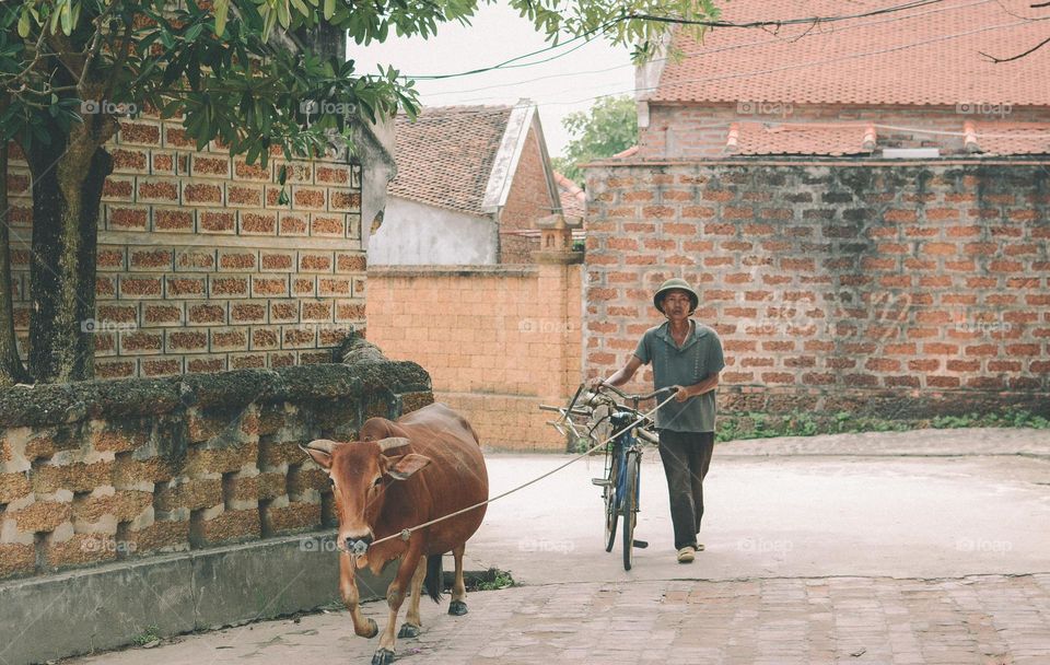 A Village man enjoy life moment with her farming pet 🐱 so if you like to this pic please ratings us ❤❣️💛