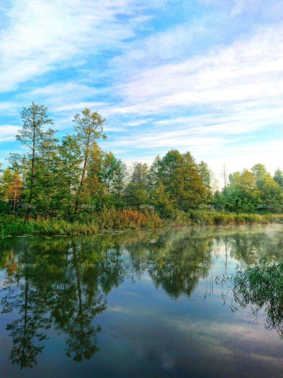 Autumn river