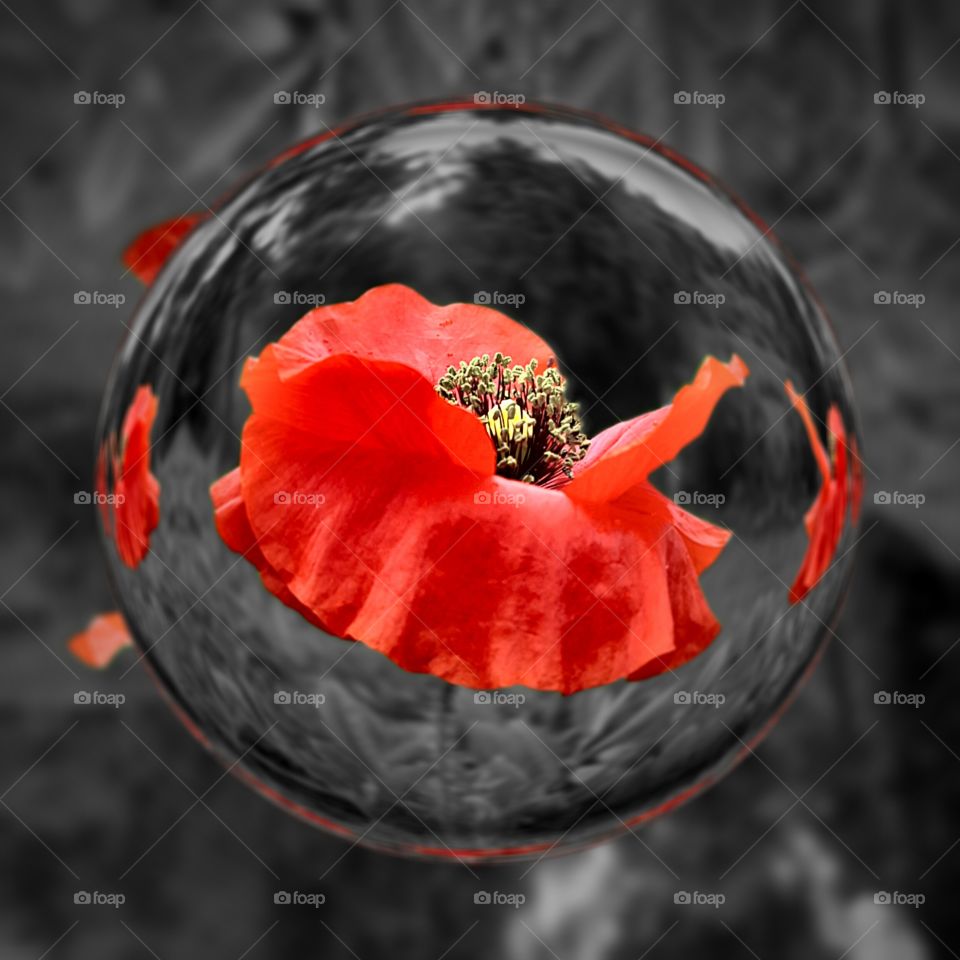 Crystal ball with poppy flower