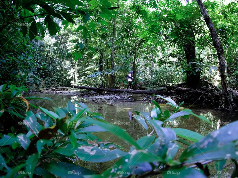 A solo lady hiking in the rainforest