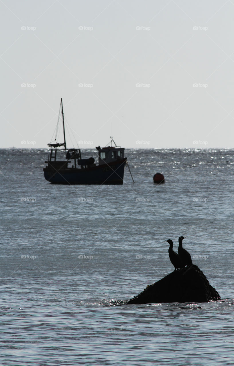 Fishing Birds and Boats. A pair of cormorants sit on a rock out to sea with a fishing boat moored behind them.