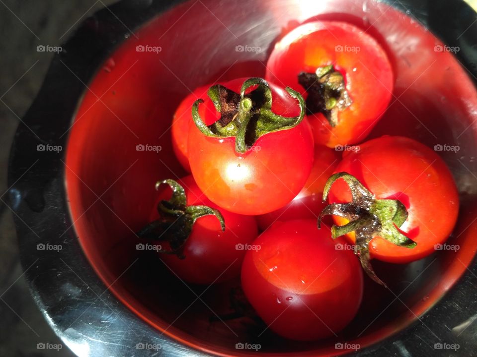 Tomato