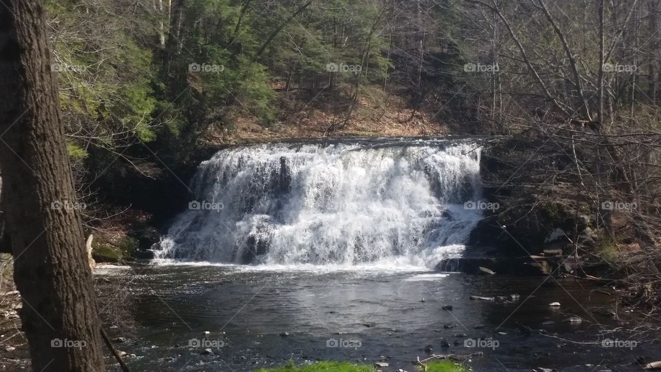 Waterfall in the woods