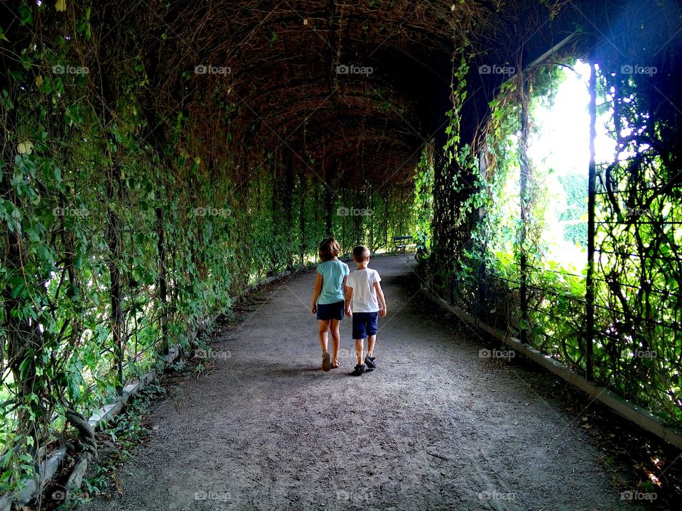 Stroll through the gardens