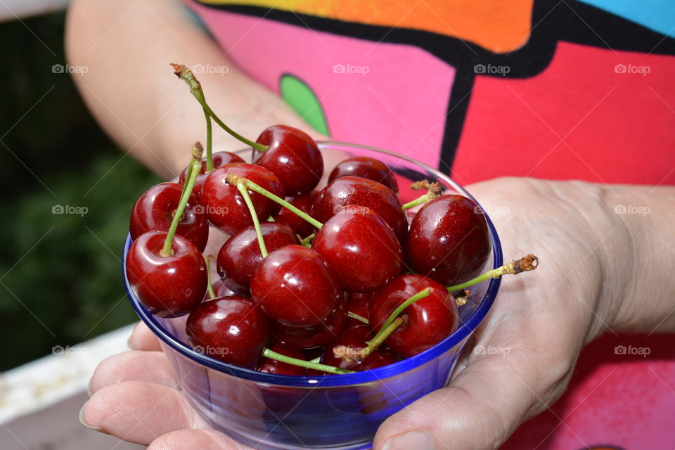 red cherry on a plate in the female hands summer vitamins background