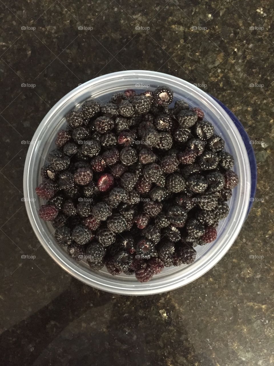 Fresh picked berries. My fingers are blue now. 