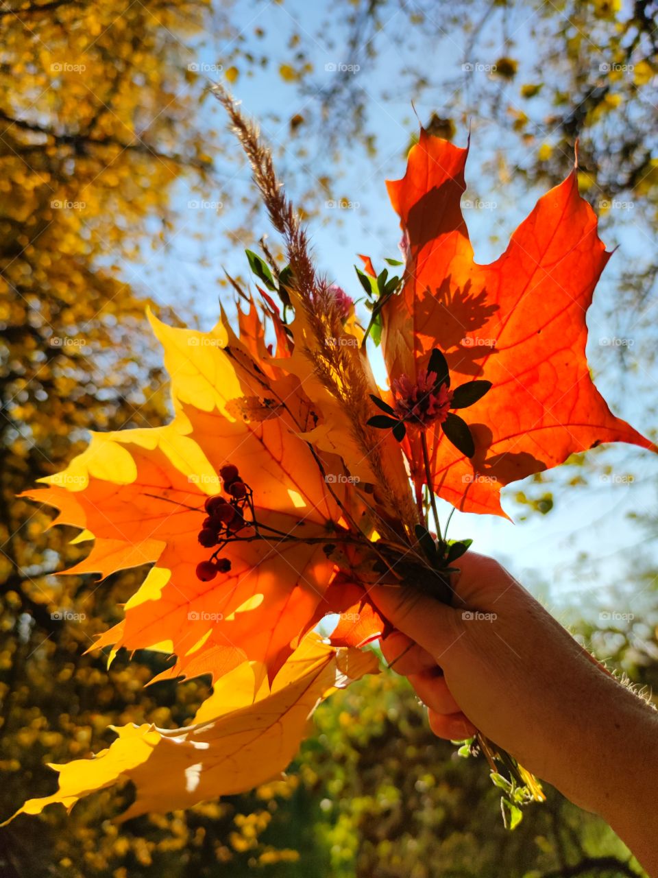 Autumn.Hand holds a bouquet of colorful leaves on a background of blue sky and sun