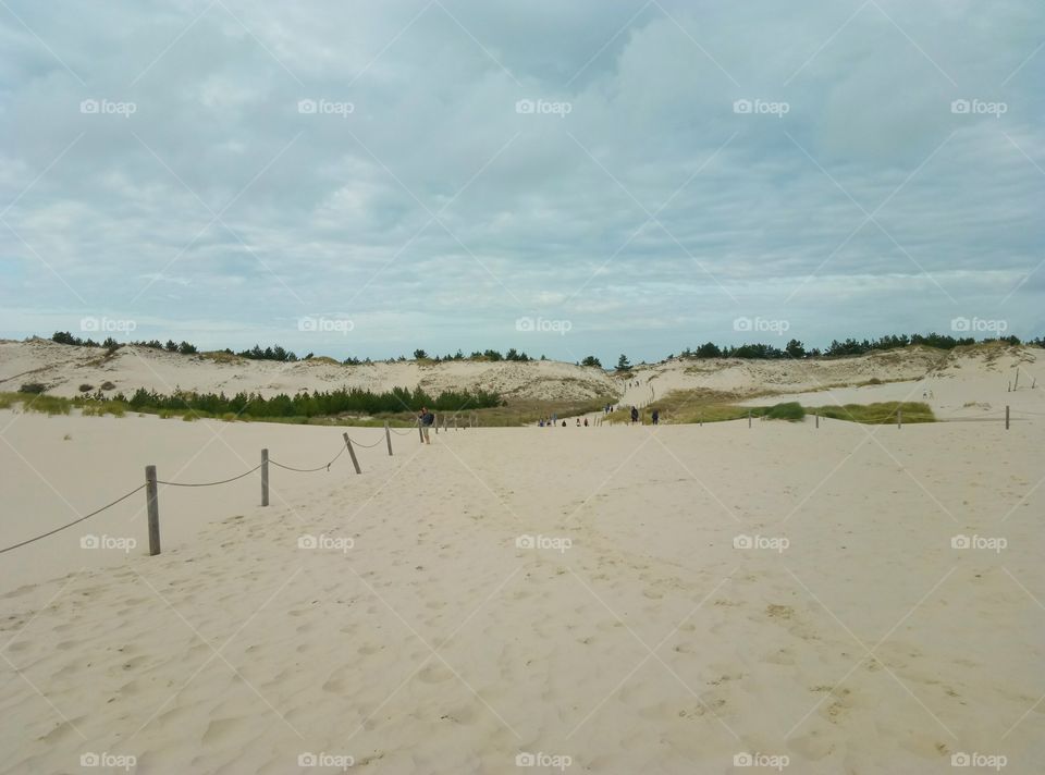 Sand, Landscape, Water, Desert, Dune