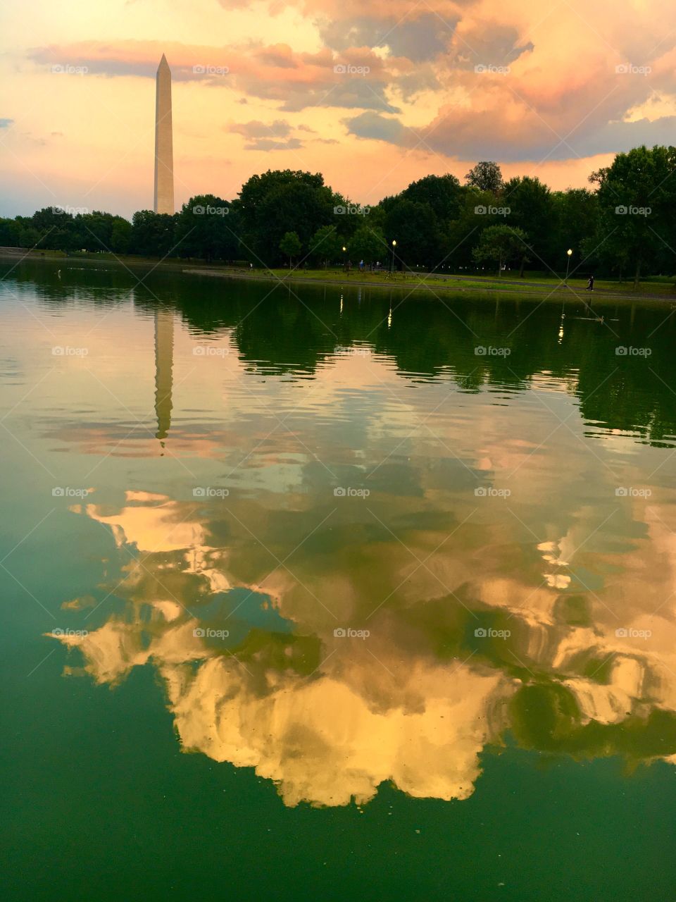 Washington Monument and clouds reflected in Constitution Gardens Pond