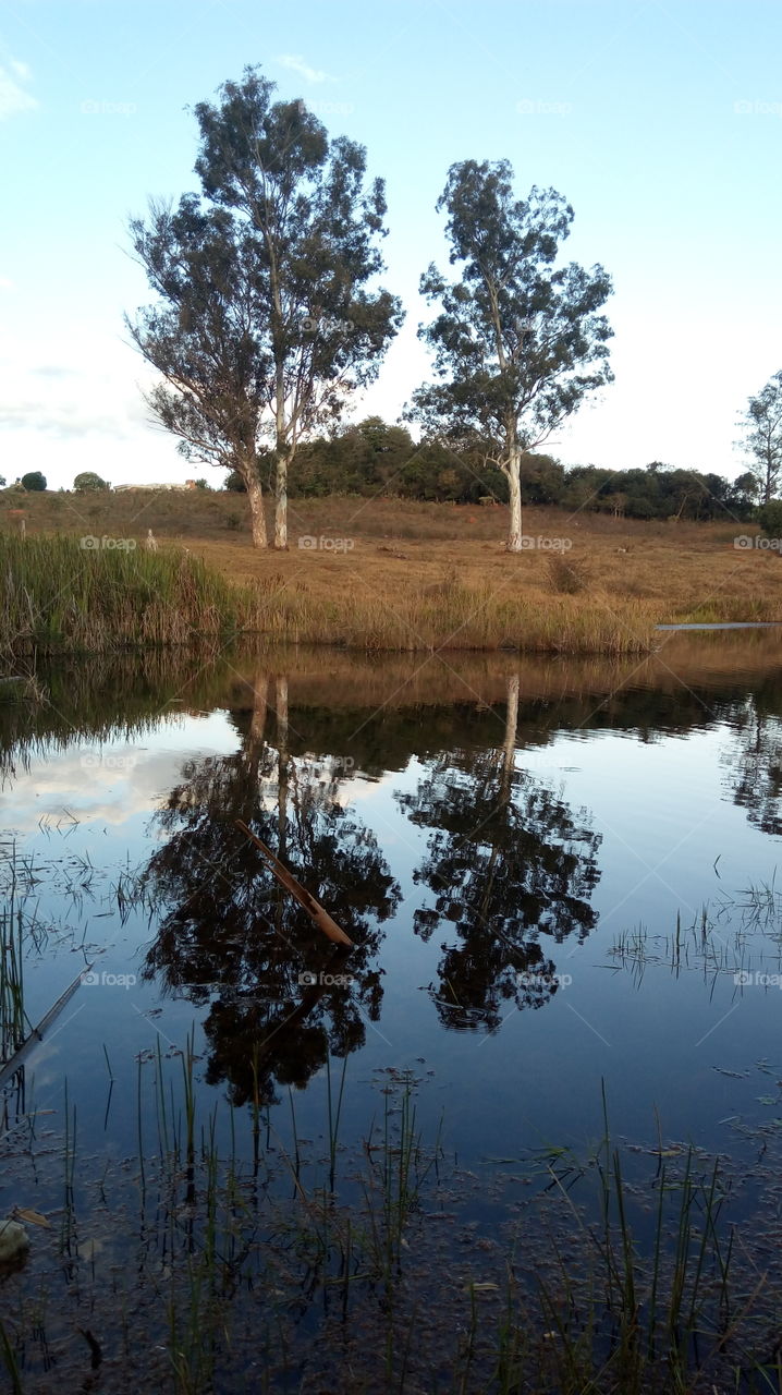 lagoa perto da minha casa