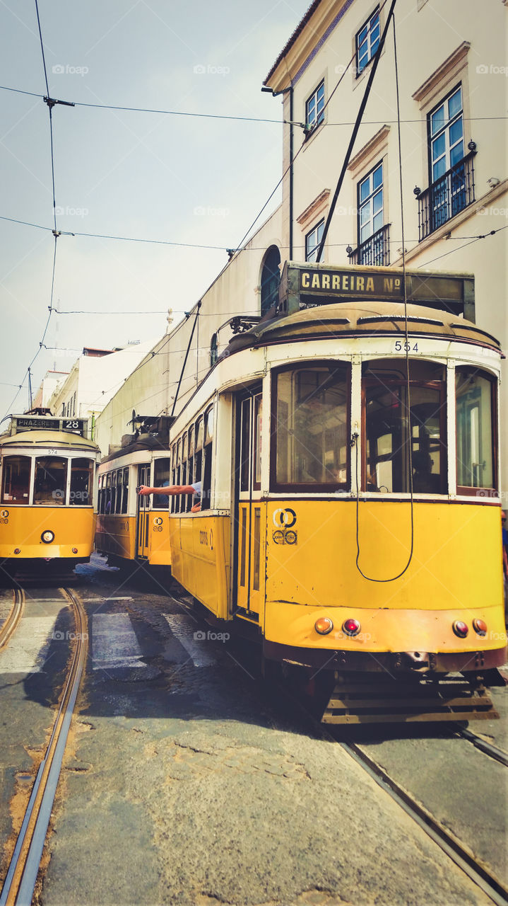 lisbon's trams