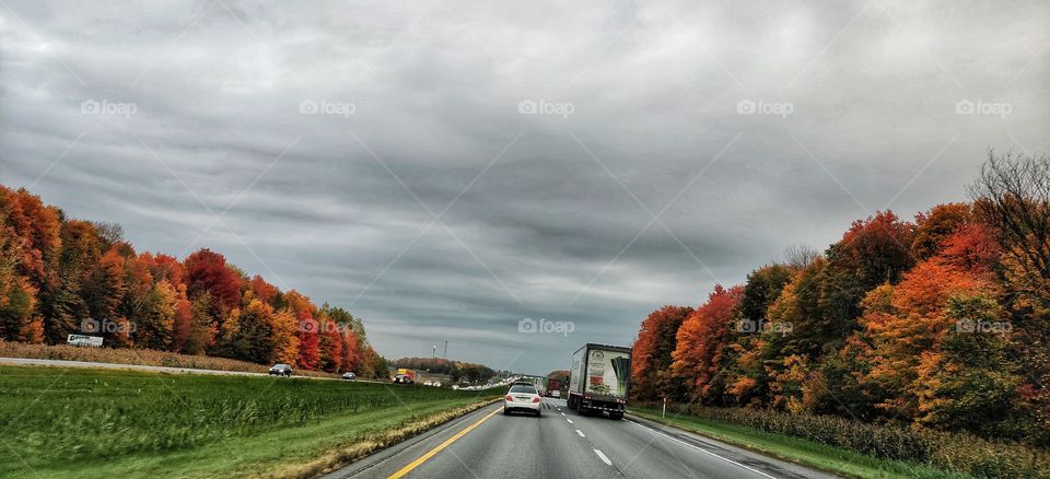 Autumn road