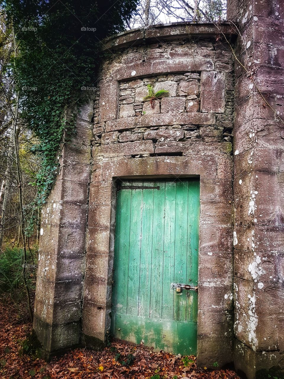 Green door old building