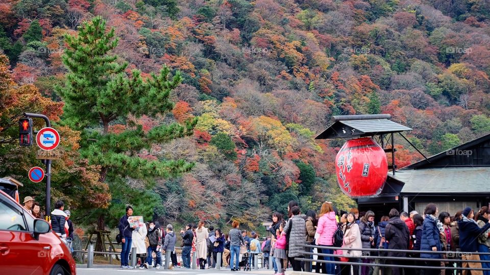 Fall colours in Japan
