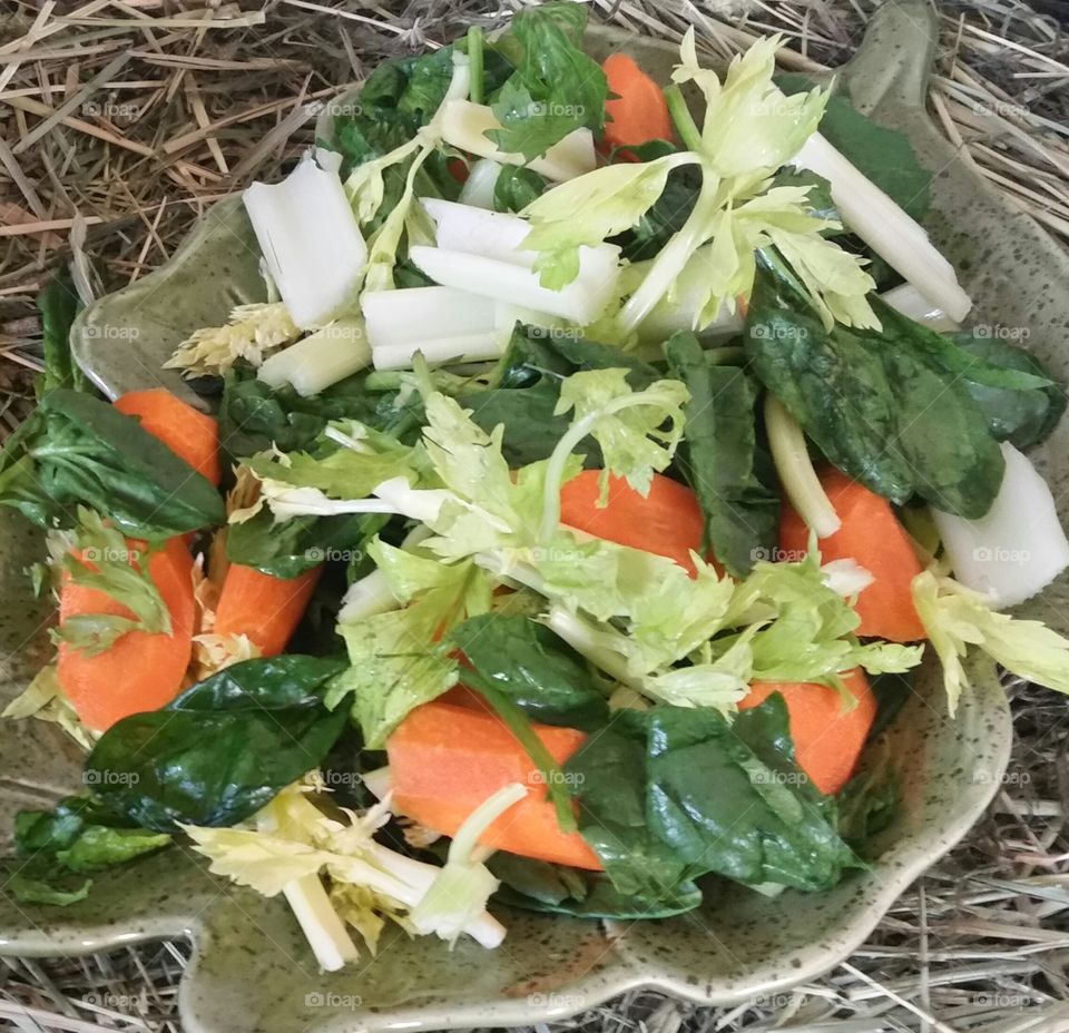 Salad For Guinea Pigs. I make healhty salads for my 2  female /sisters
Guinea Pigs everyday...