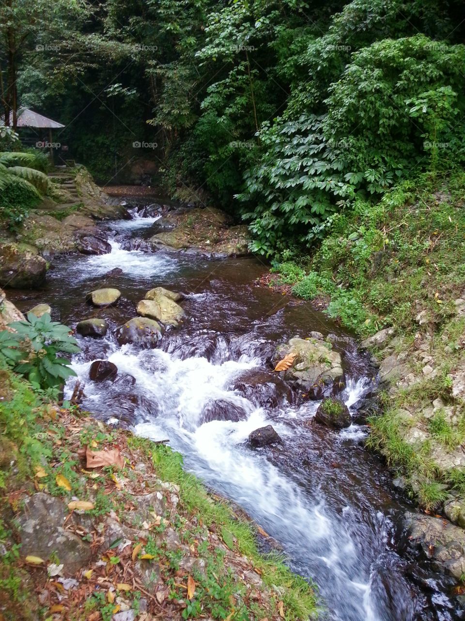 Flowing water of gitgit waterfall, Bali