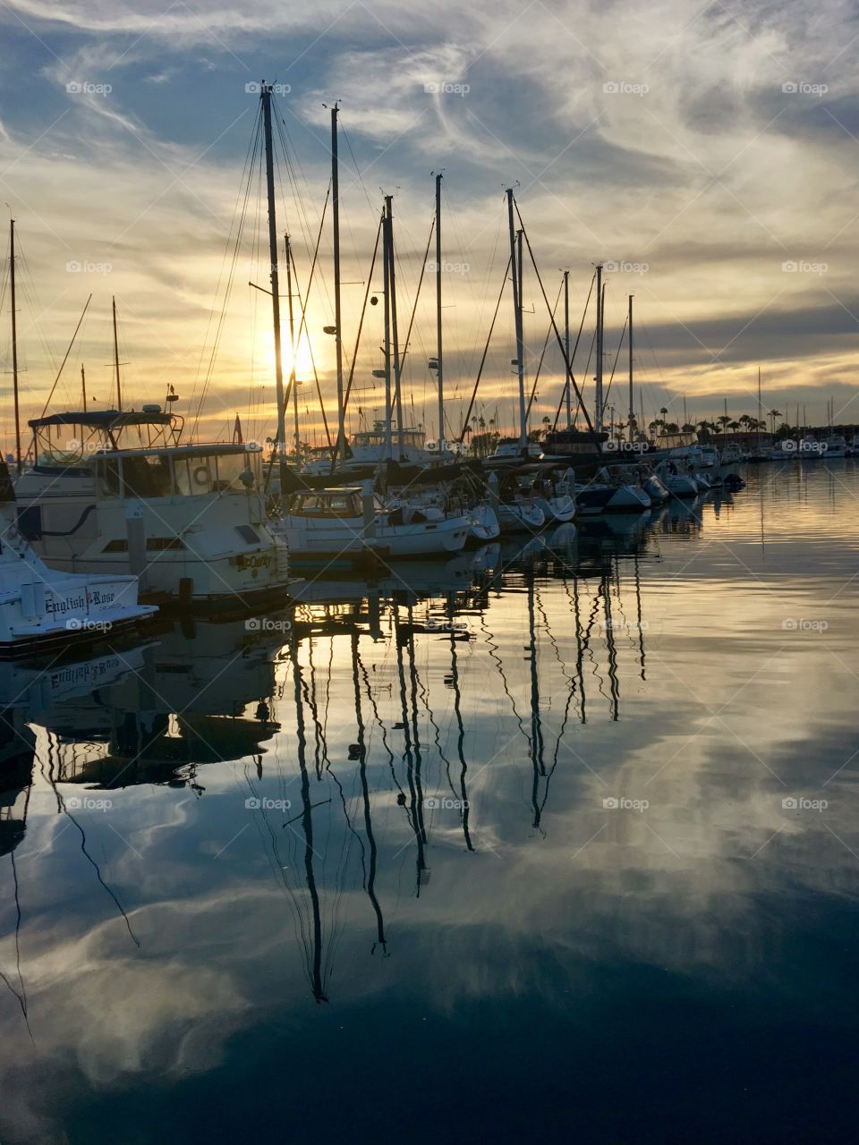 Sunrise in the Harbor