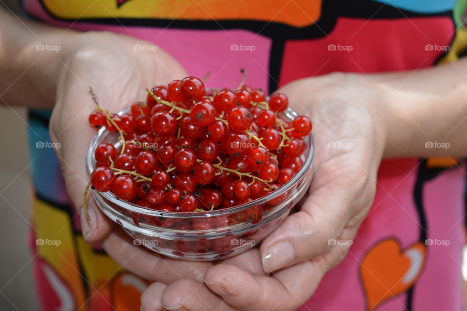 red berries summer food on a plate in the hands female background