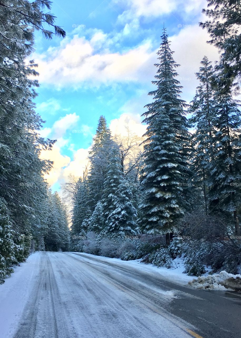 Empty road in winter