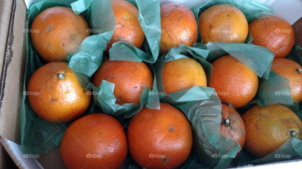 Care Package From Florisa