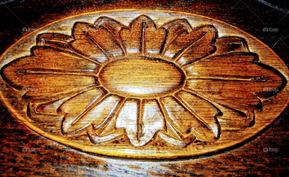 the eyes of a flower