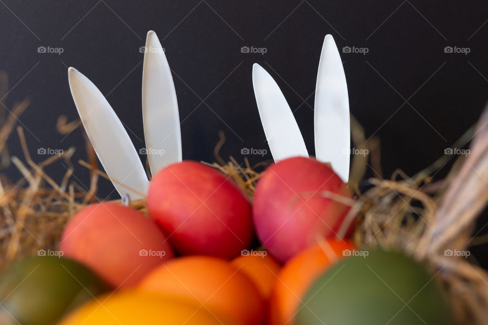 ears of rabbits and colorful easter eggs
