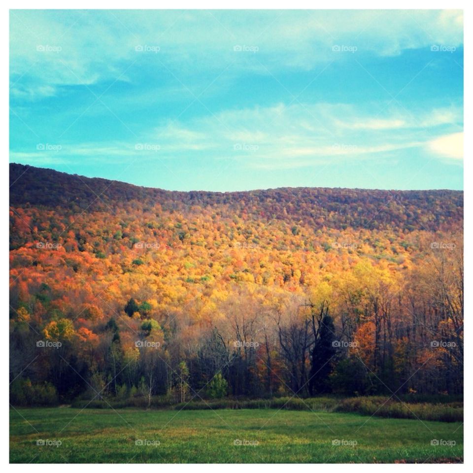 Vermont fall foliage