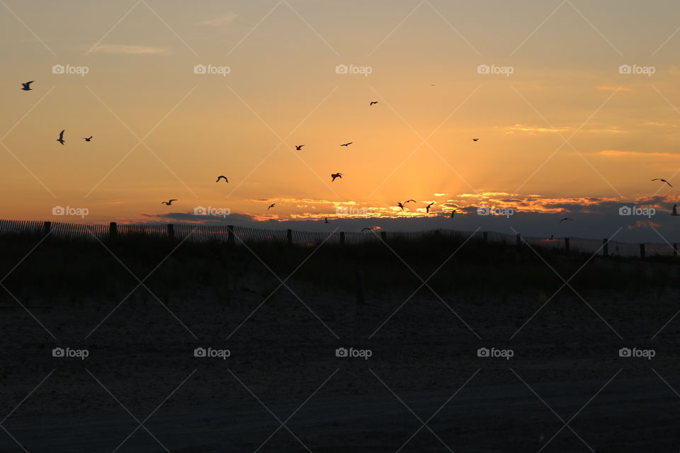 Duxbury beach sunset 