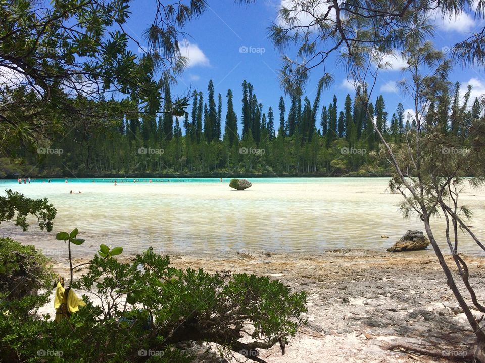 Natural pool of a paradise island of New Caledonia. 
Rock in the middle of the most beautiful pacific lagoon 🌴