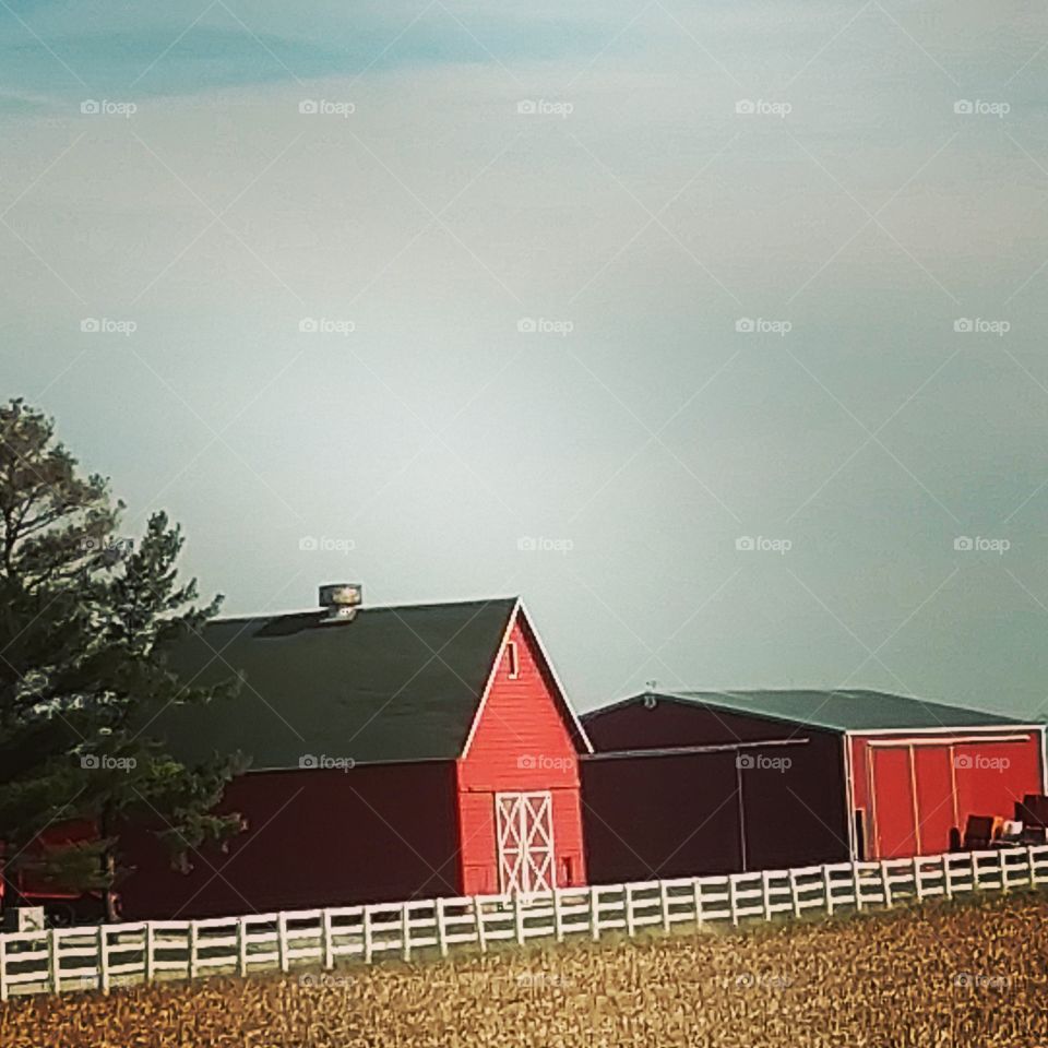 barns