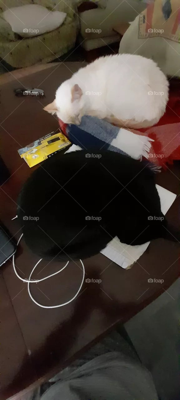 tudo serve para dormir