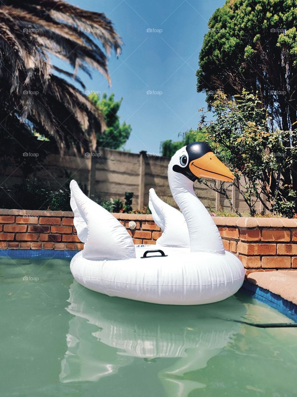 Inflatable Pool Float, Swan