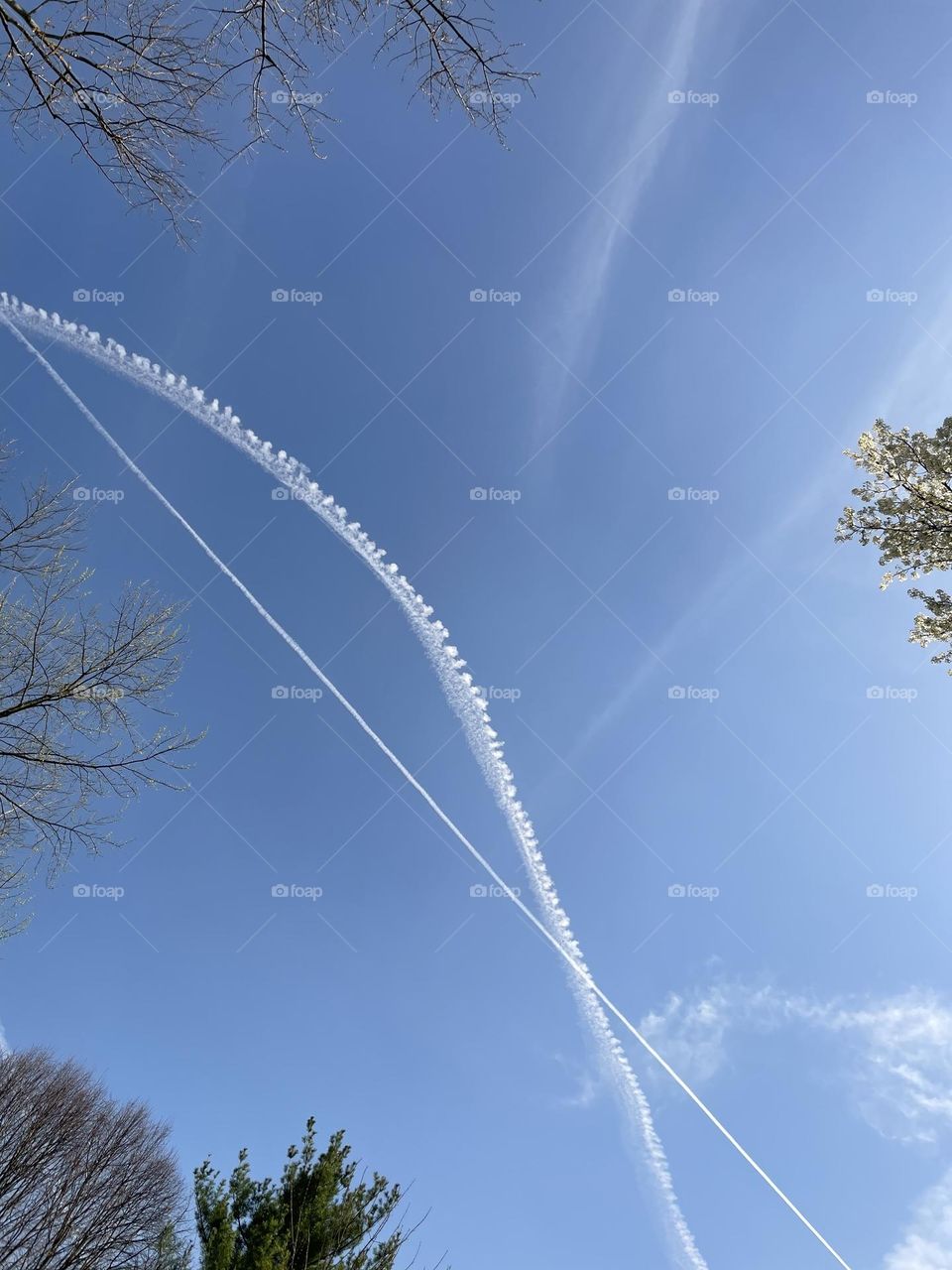 Trails in the sky, clear blue skies above the trees, view after the solar eclipse, blue skies of Ohio, looking up, backyard view 