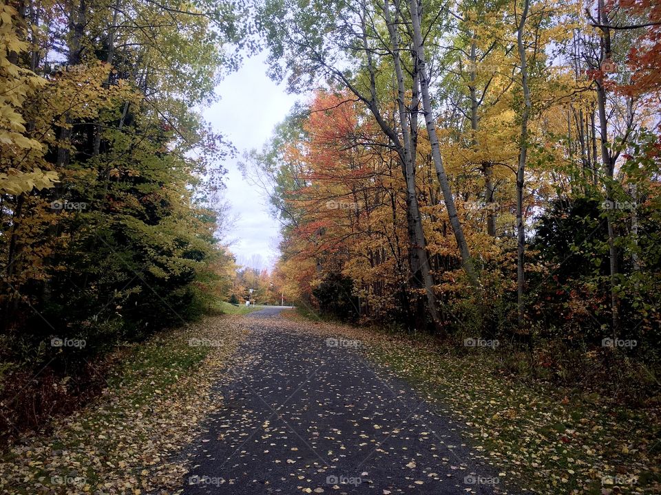 Park trail on a gloomy autumn morning 