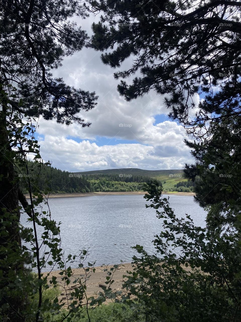 Beautiful countryside 