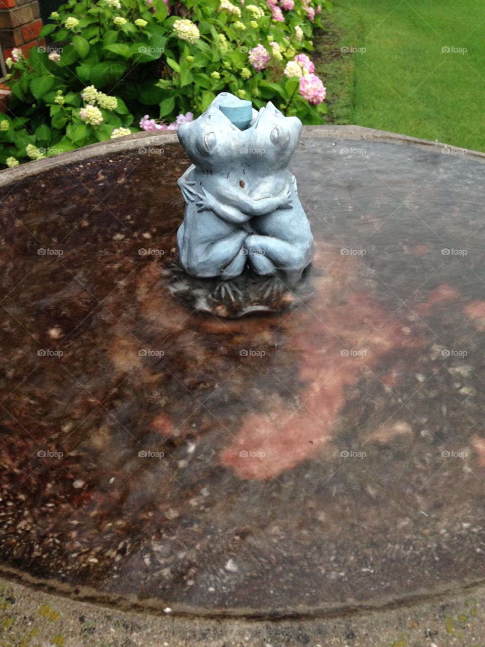 Glorious rain. Birdbath during rain storm