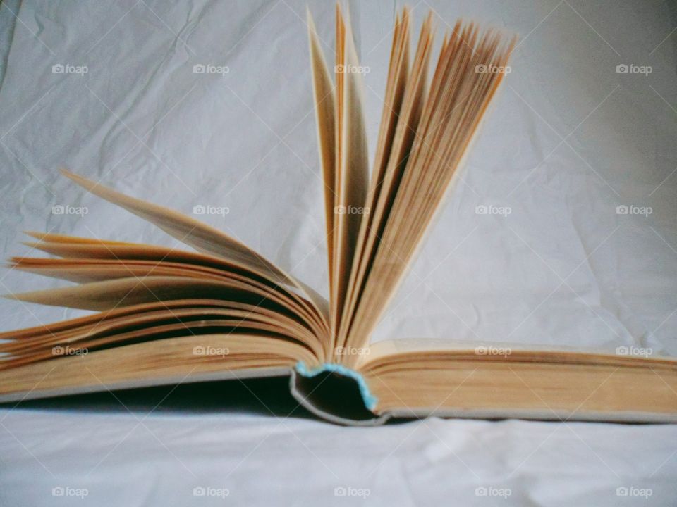 Open book on white background