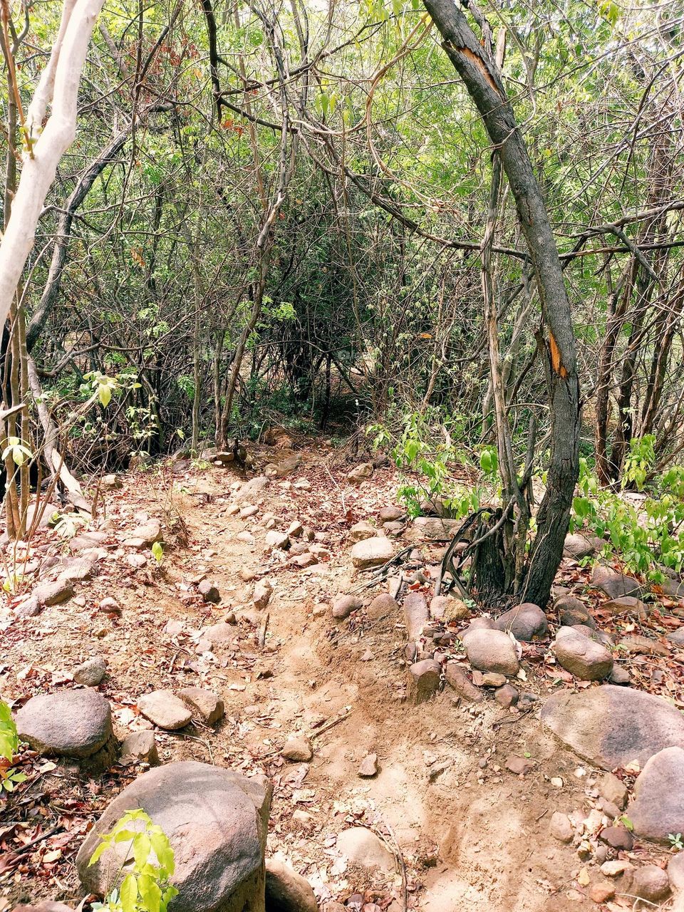 In life we choose our own path... It's not always easy, but in the end it's worth the effort; )