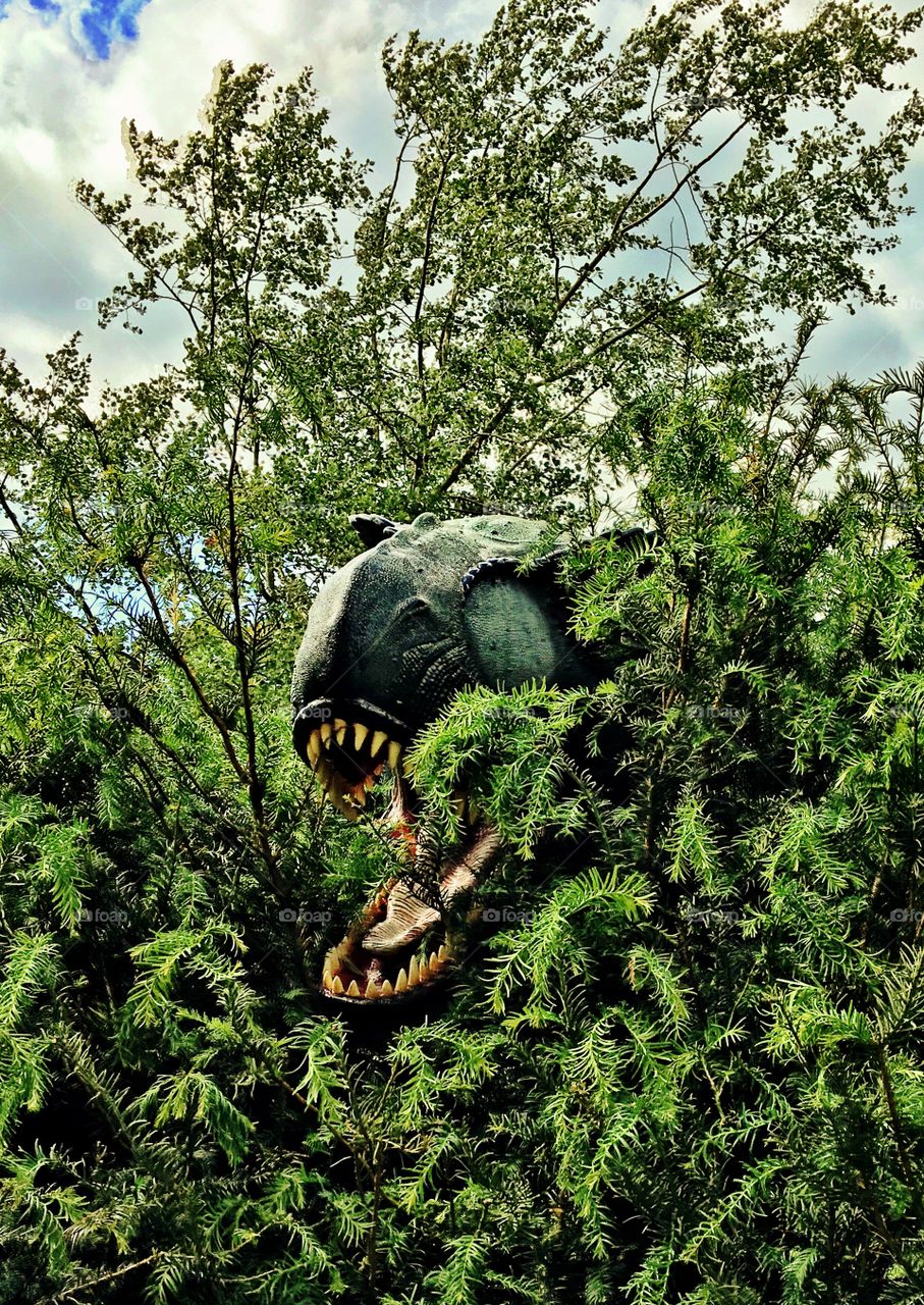 T-Rex dinosaur peeking through bushes