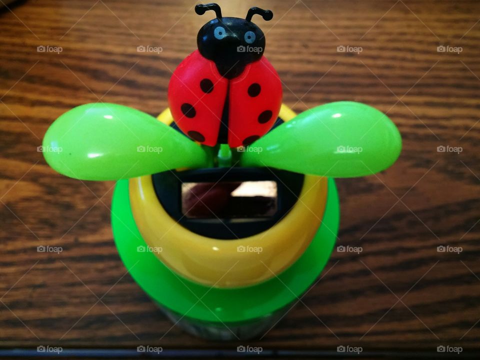 Solar Ladybird