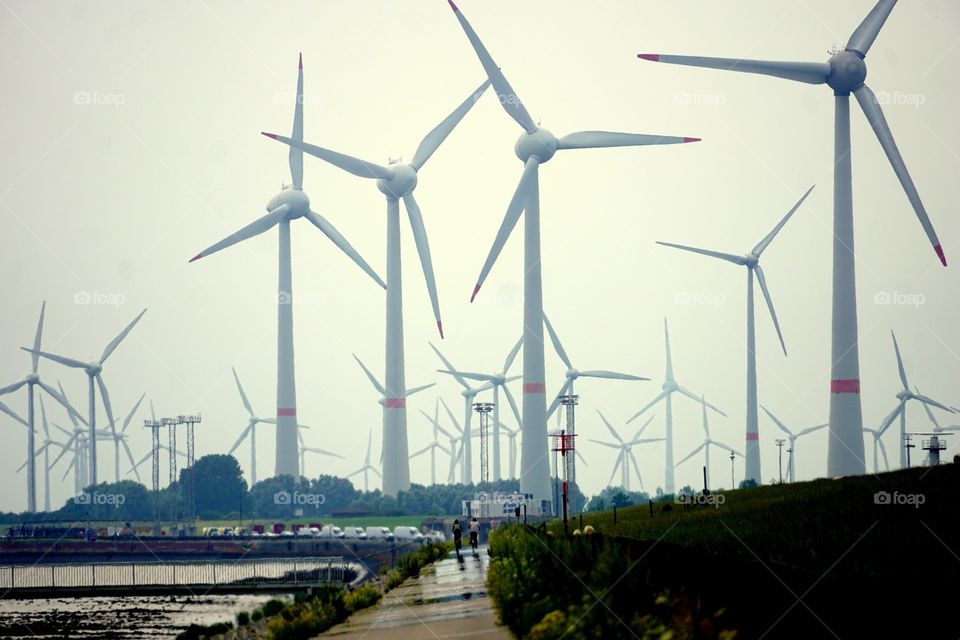 Everywhere Wind wind Wind.