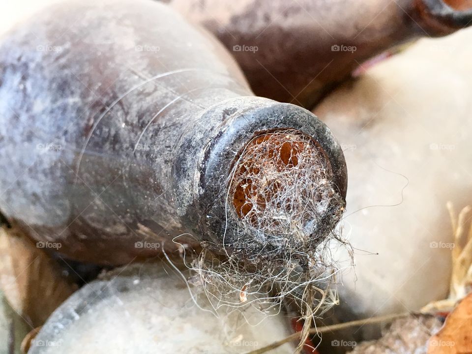 Antique old dirty muddy bottle looking through it cobwebs mud and dirt grunge background 