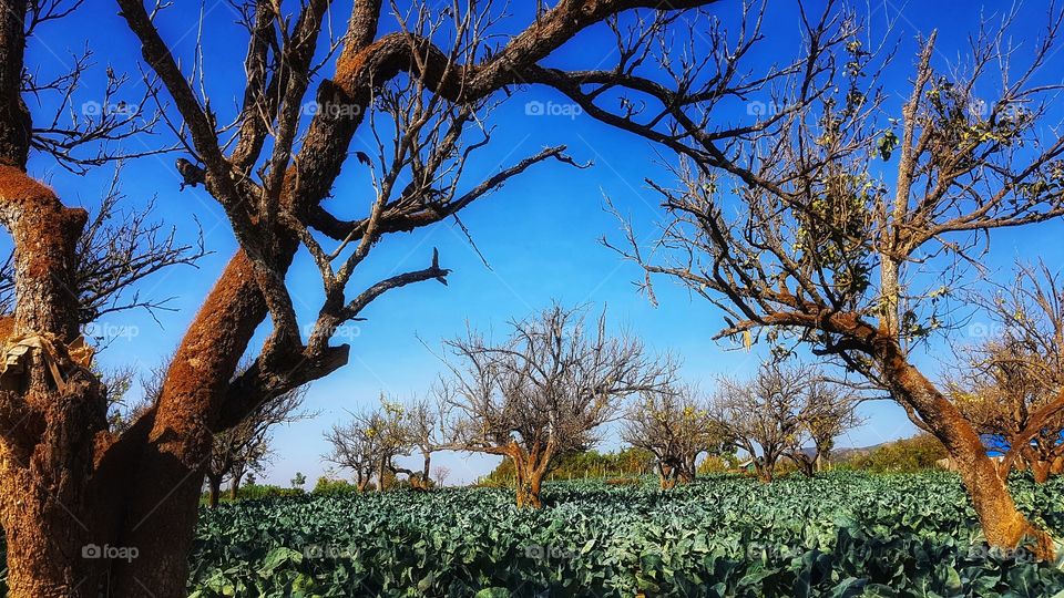 Hello Every one! Happy to all 😍