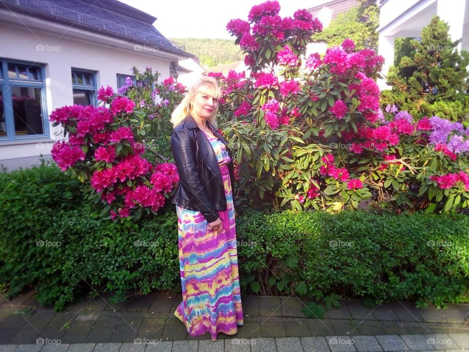 Blumen in Deutschland